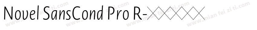 Novel SansCond Pro R字体转换
